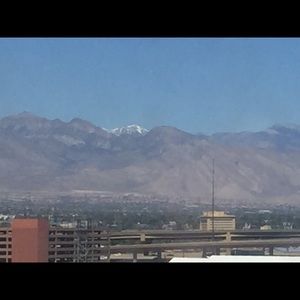 Meet your Posher, Dorothy